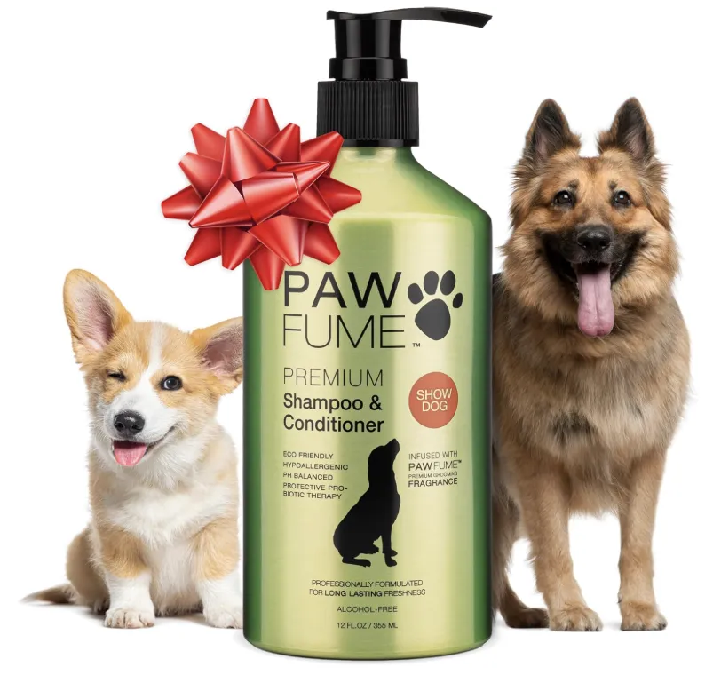 搜索量激增，10款宠物产品在亚马逊月销过万