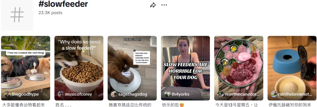 50天狂揽230万+，宠物慢食碗在TikTok卖断货