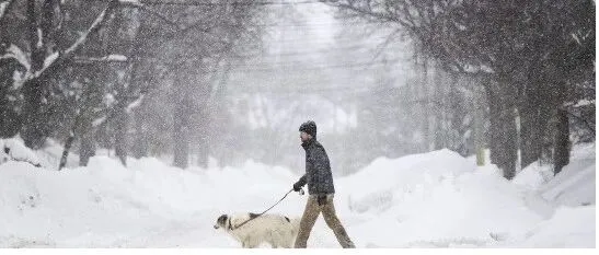 加拿大极端暴雪来袭，末端派送、干线运输或将全面停摆！