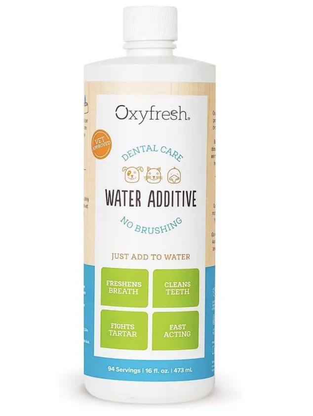 月销百万美金！这10个宠物产品正在亚马逊热卖