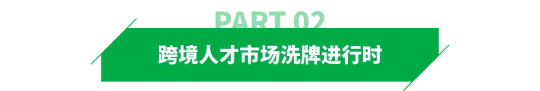 高学历求职者，挤爆跨境电商！