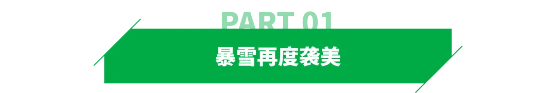 第二波暴雪袭美,卖家单量对半砍?