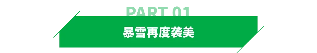 第二波暴雪袭美，卖家单量对半砍？