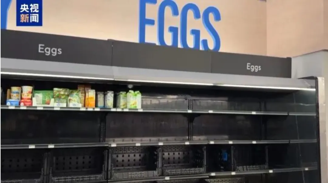 第二波暴雪袭美,卖家单量对半砍?