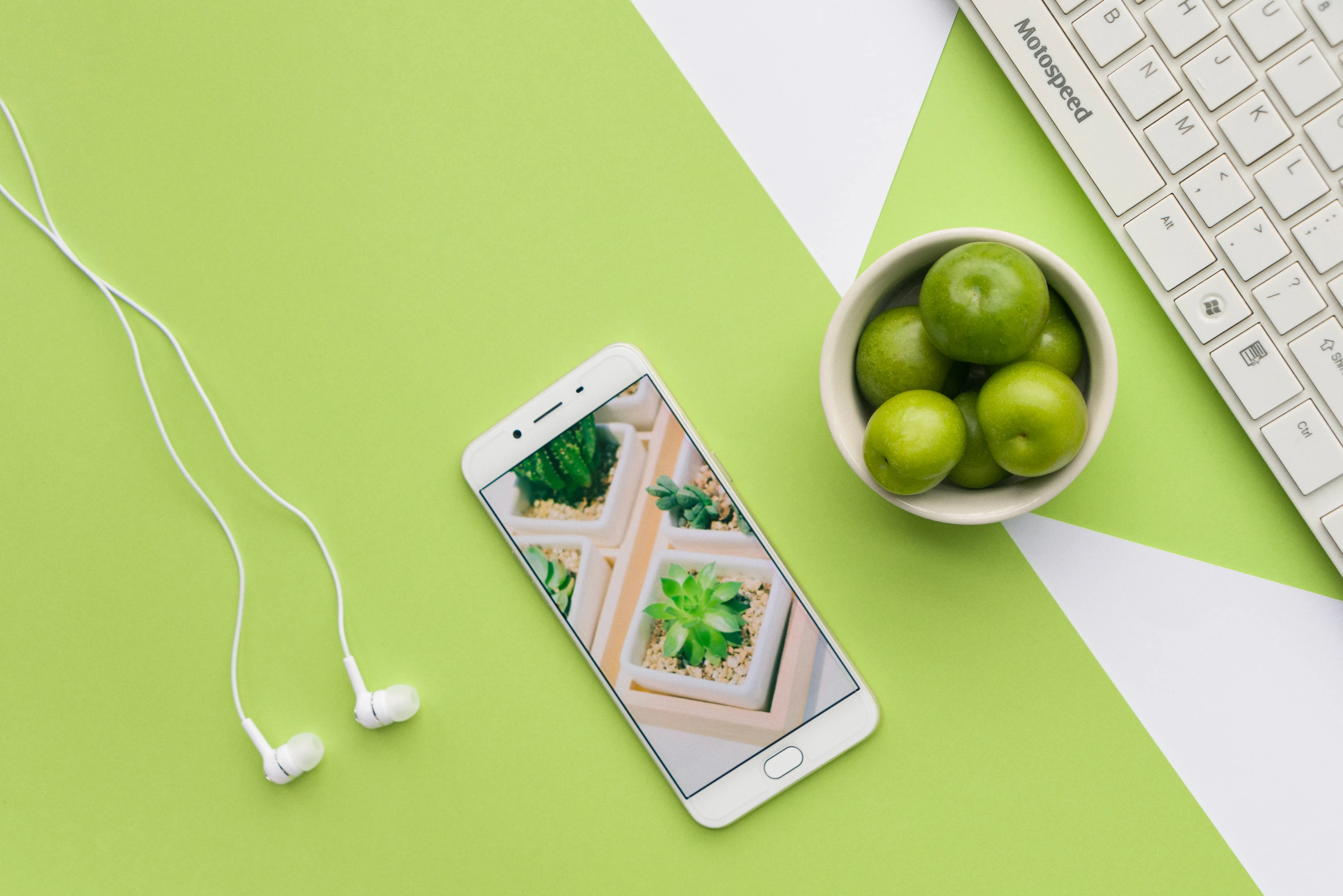 月销数十万美金！这10款生活用品爆单亚马逊