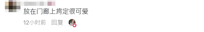 国产“花盆灯”爆火TikTok,刚上架就卖了260万+!