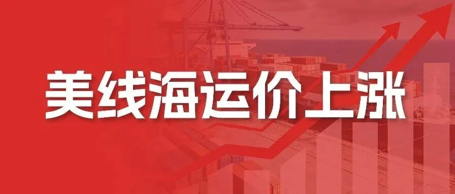 全球四大航线运价上涨，缺船缺柜预警！本周货该怎么发？