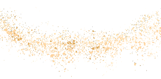 安美年终述职大会丨马跃新程，聚力同行