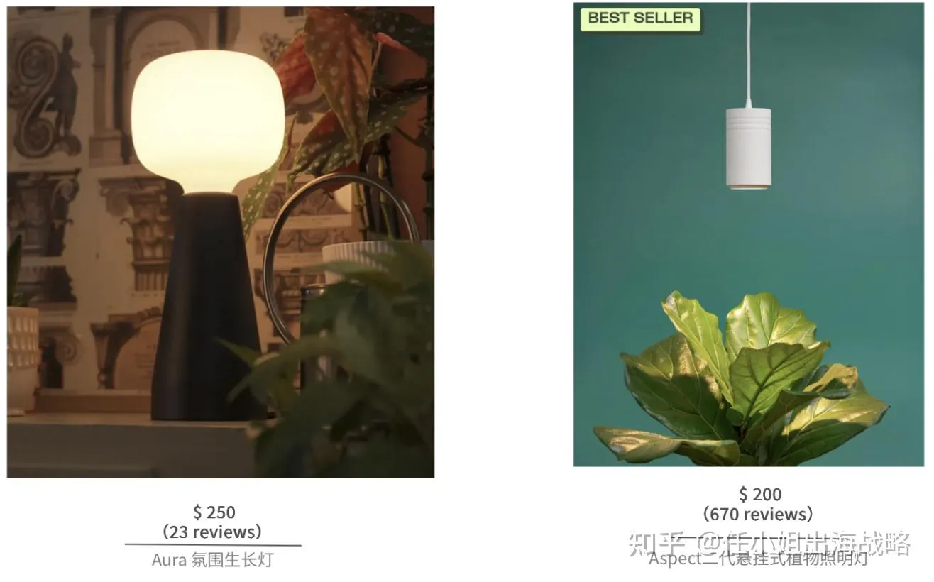 96%的免费流量！单价高达200美金的灯具如何让北美网红疯狂？