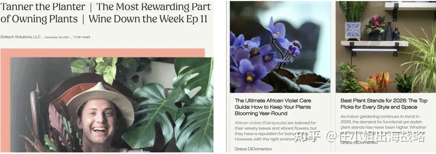 96%的免费流量！单价高达200美金的灯具如何让北美网红疯狂？