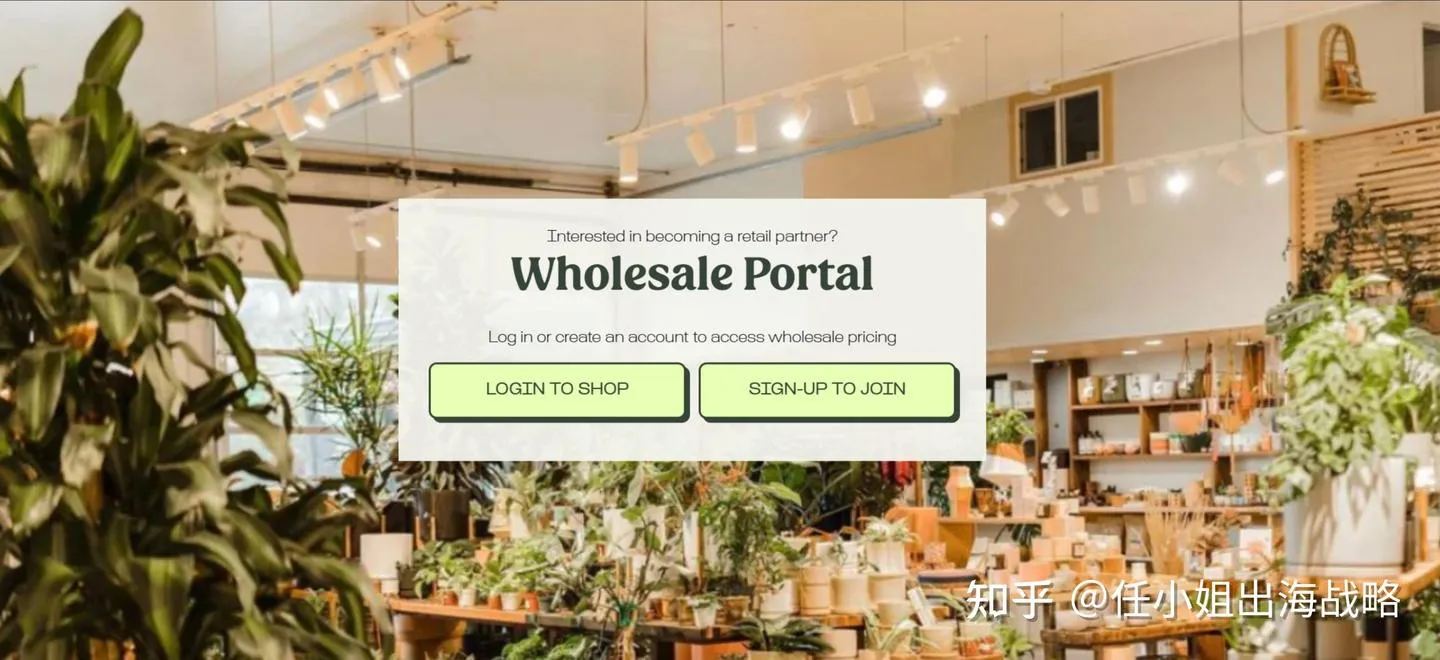 96%的免费流量！单价高达200美金的灯具如何让北美网红疯狂？