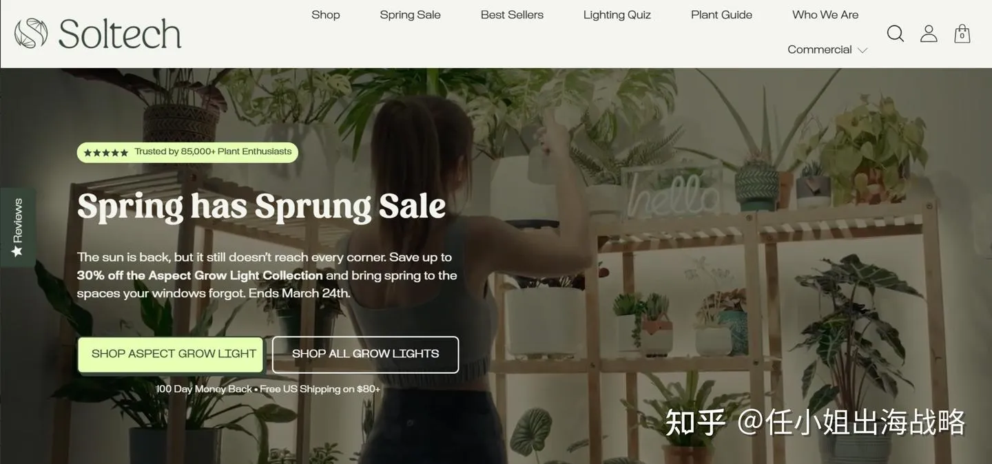 96%的免费流量！单价高达200美金的灯具如何让北美网红疯狂？