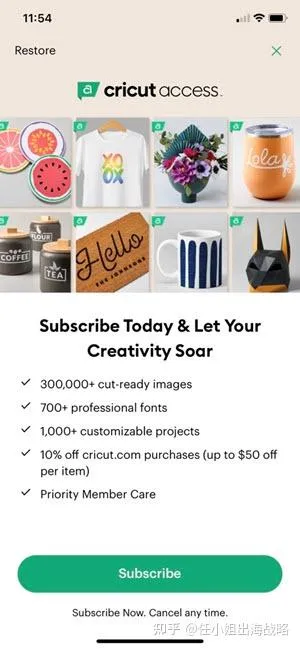 超300万人疯狂付费订阅！被北美主妇买爆的「家用智能切割机」，如何靠"剃须刀+刀片"模式称霸百亿手工艺市场？