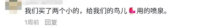 靠AI带货,国产“鸟浴神器”在TikTok卖了50多万