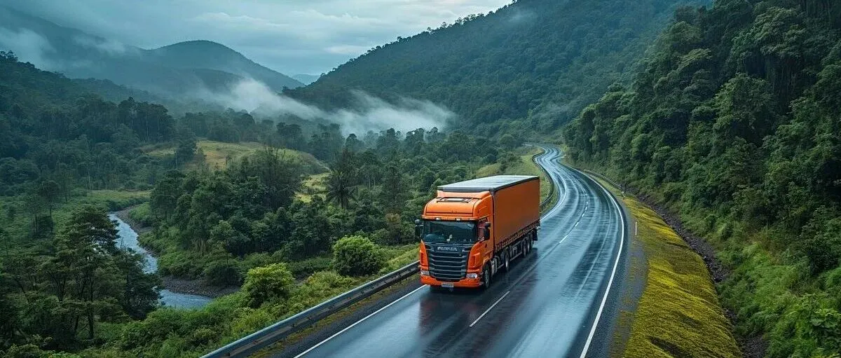 低价者的哀嚎，合规者的坦途｜跨境物流的生死考验