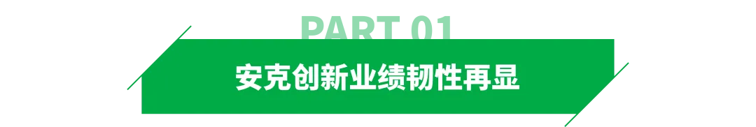 305亿，安克创新还在增长