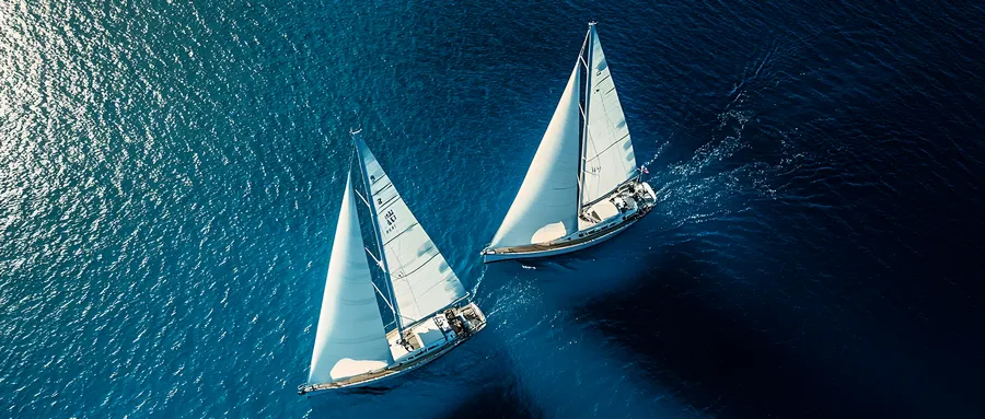 305亿，安克创新还在增长