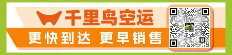 亚马逊SEND承运商“小锁仓”来啦,运费最高省15%！