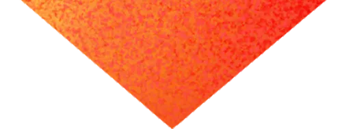 德聚钱塘 · 再起新航｜热烈祝贺德速电商物流杭州分公司开业！