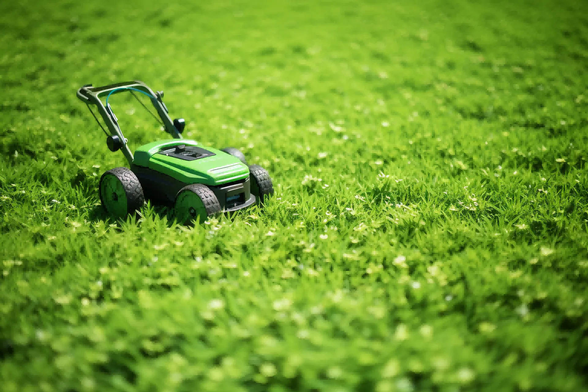 需求激增！亚马逊10款庭院产品月销百万美金