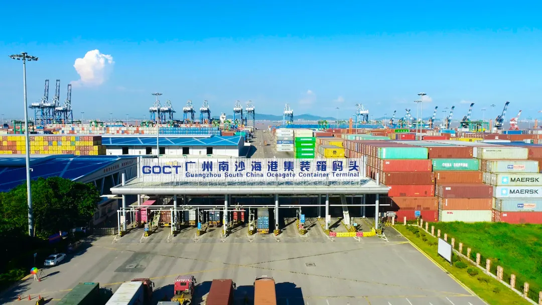 美西提柜封神！德立迅 × 合德船司首发PP 快提！