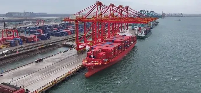 美西提柜封神！德立迅 × 合德船司首发PP 快提！