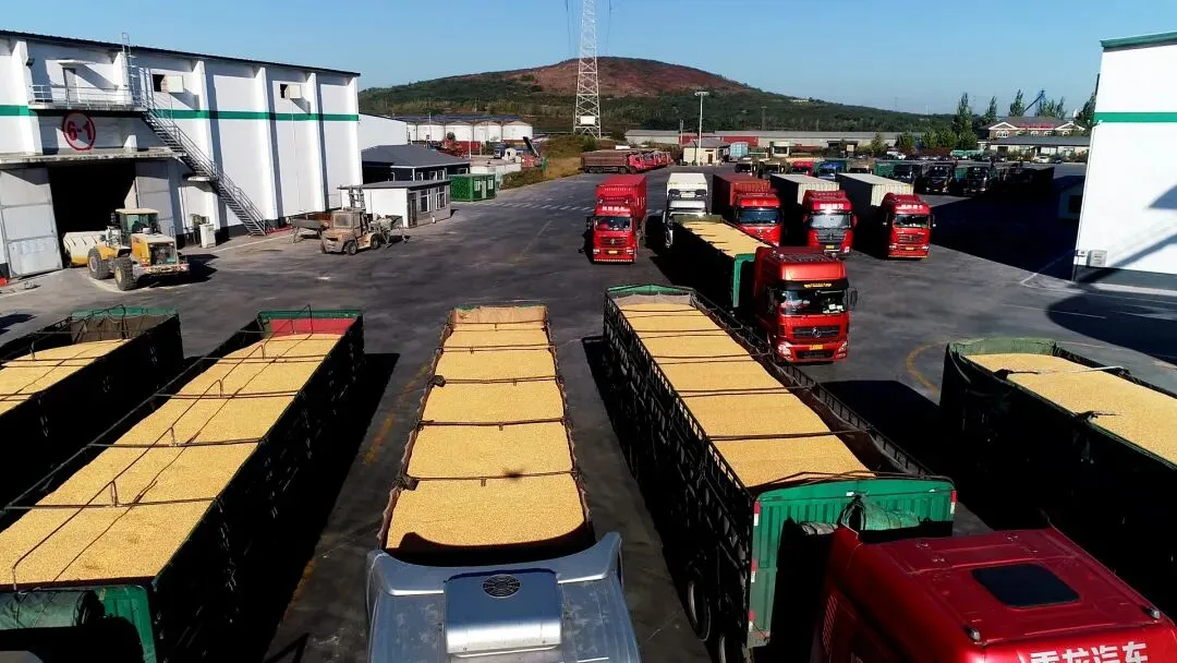 美西提柜封神！德立迅 × 合德船司首发PP 快提！