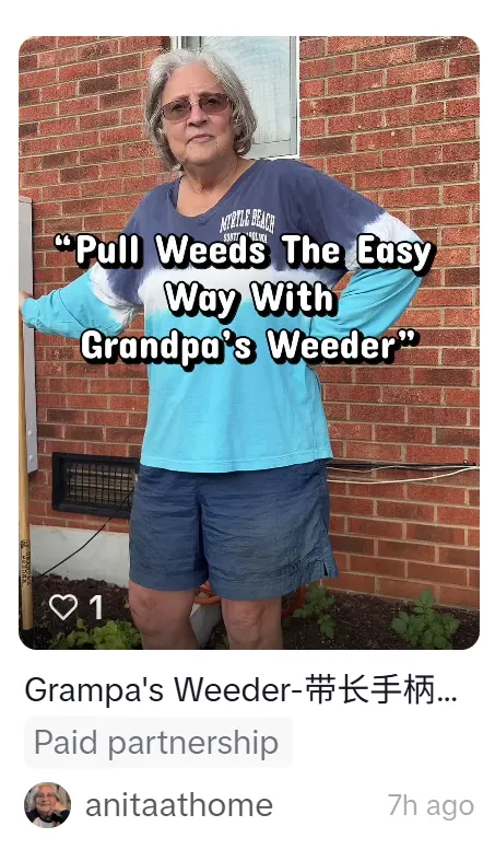 美国庭院版“老头乐”爆单，TikTok卖家赚了520万