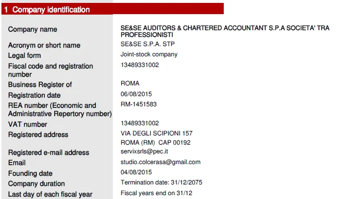 意大利VIES迟迟未激活？问题可能出在税务代表的专业资质上