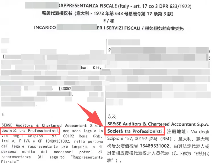 意大利VIES迟迟未激活？问题可能出在税务代表的专业资质上