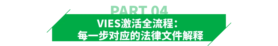 意大利VIES迟迟未激活？问题可能出在税务代表的专业资质上
