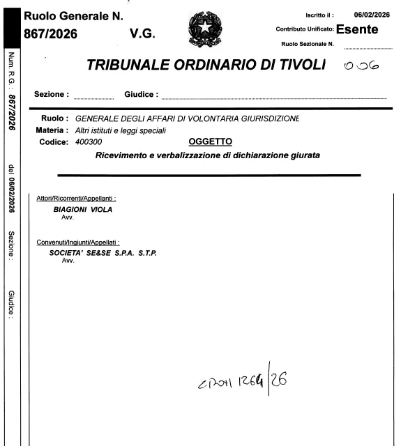意大利VIES迟迟未激活？问题可能出在税务代表的专业资质上