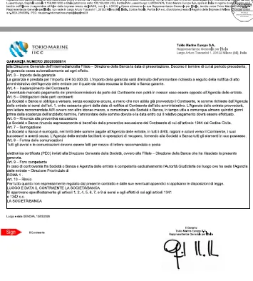 意大利VIES迟迟未激活？问题可能出在税务代表的专业资质上