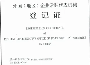 意大利VIES迟迟未激活？问题可能出在税务代表的专业资质上