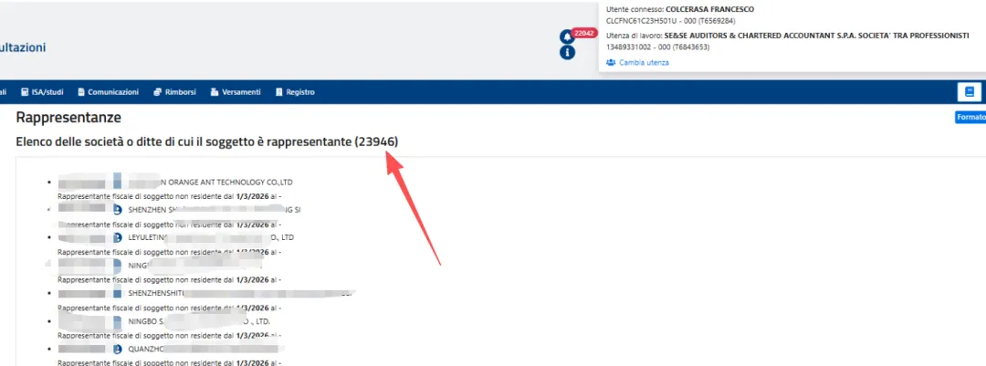意大利VIES迟迟未激活？问题可能出在税务代表的专业资质上