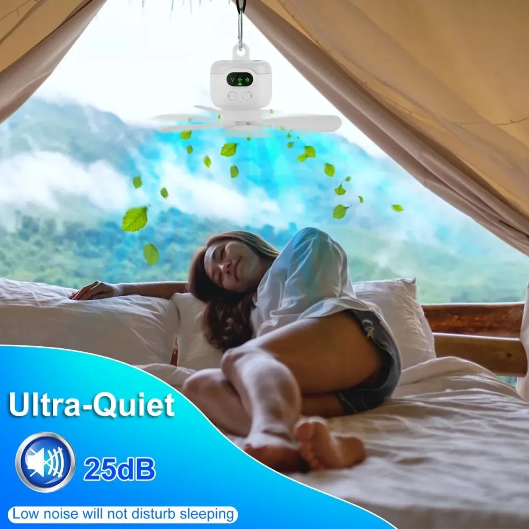 一个月不到，卖出了1.88万单！聚焦这个赛道的卖家，订单在疯涨