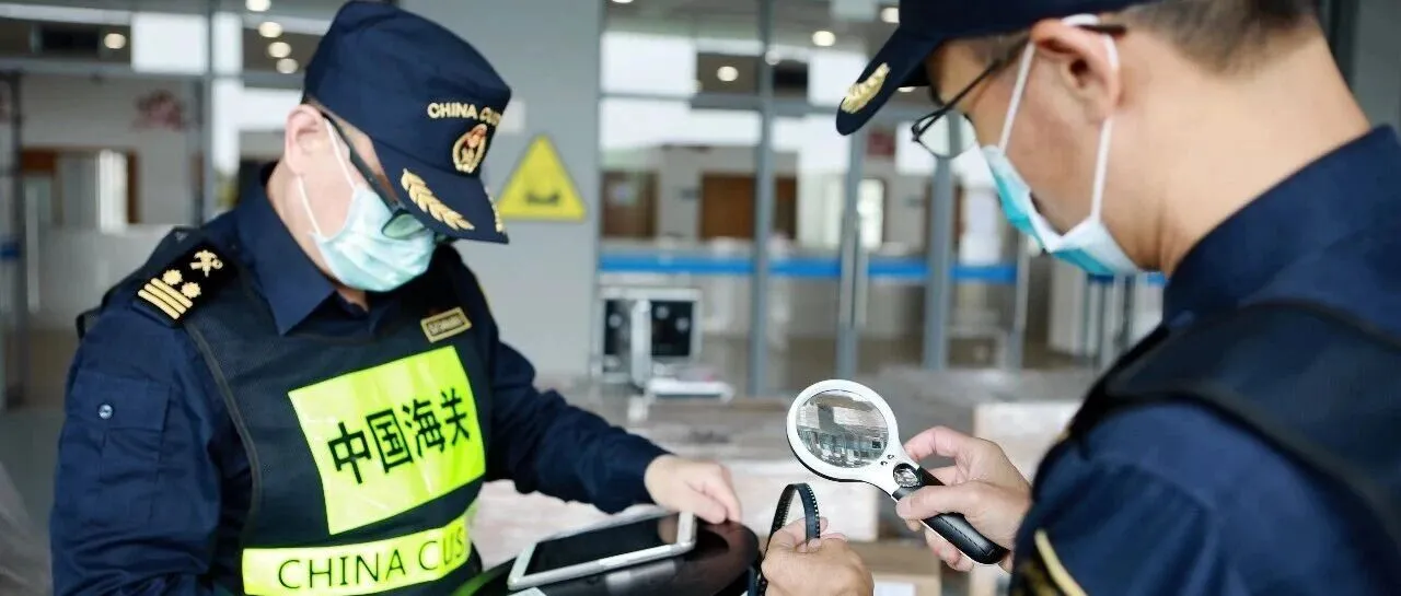别让“粗心”影响通关!申报不符带来的这些坑千万别去踩!