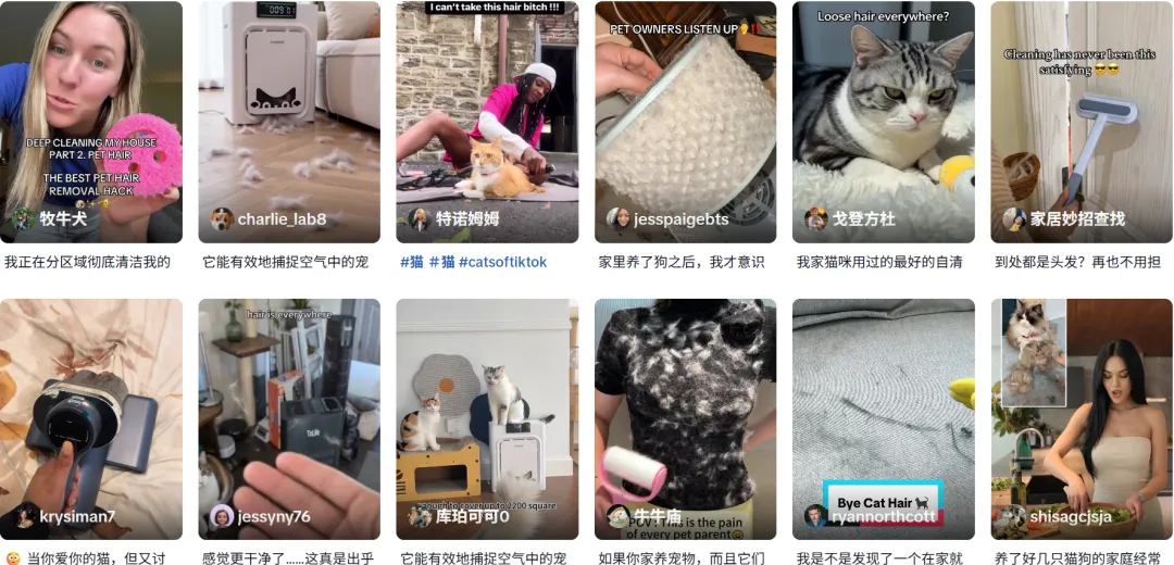 深圳卖家靠一台“宠物友好”家电，在TikTok捞金千万