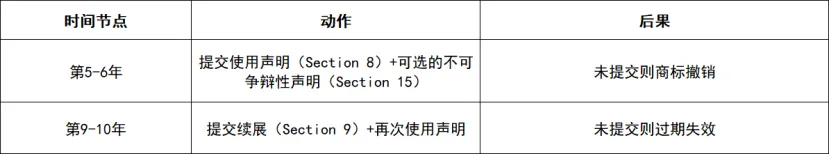 2026美国商标注册全流程拆解：从申请到下证，避开这5个坑至少省下3个月