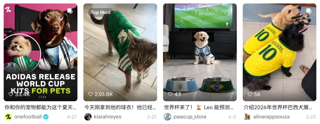 又一宠物用品成世界杯顶流!在TikTok单日售出17万