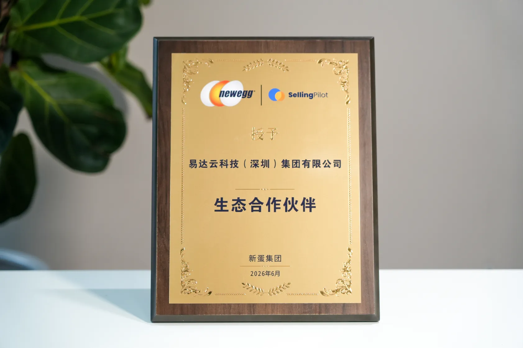 易达云正式成为Newegg「首批生态合作伙伴」