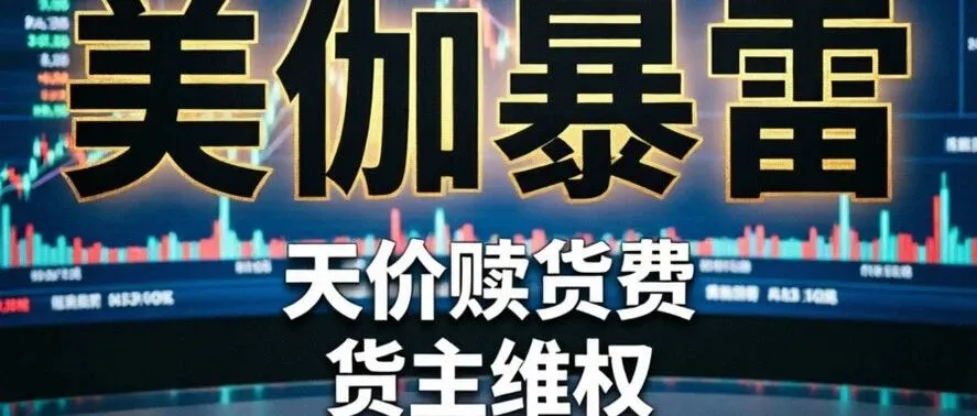 美伽爆雷事件影响持续扩大,大批业内同行开展欠款追偿工作,多地海外仓陆续发布货物赎回公告,不少卖家感叹赎货费用远超预期?!