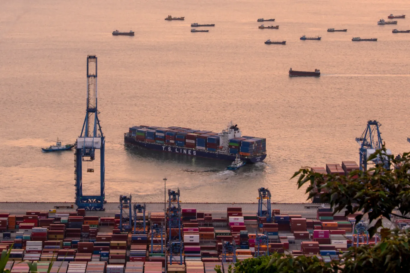 台风白海豚逼近华东，沿海港口陆续封港停作业