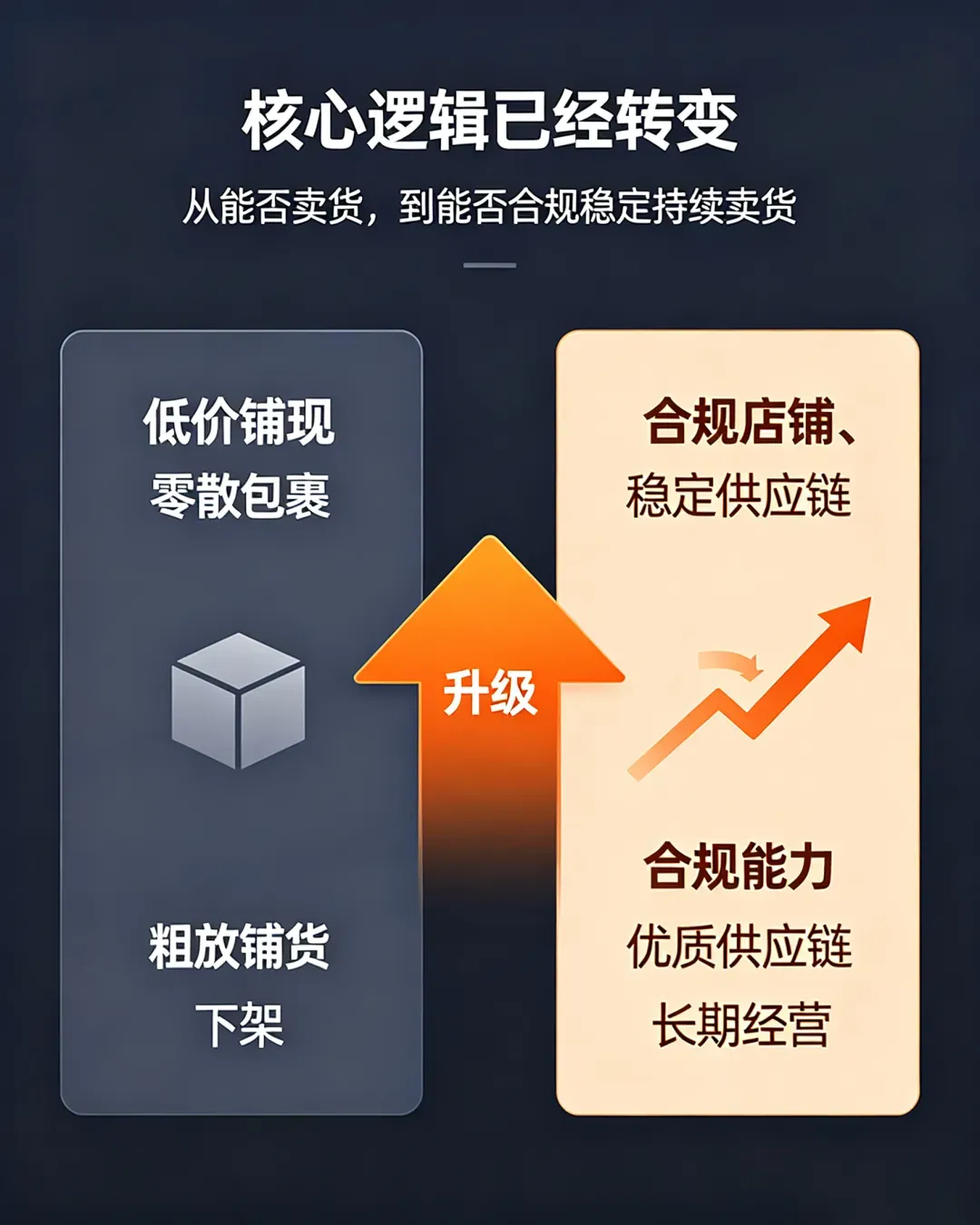 日本电商合规门槛越提升，卖家的破局关键在哪？