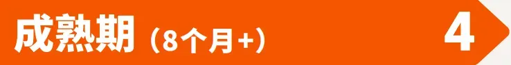 亚马逊日本站短生命周期服饰品类广告实操