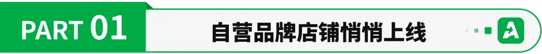 Temu下场自营品牌，卖家坐不住了！