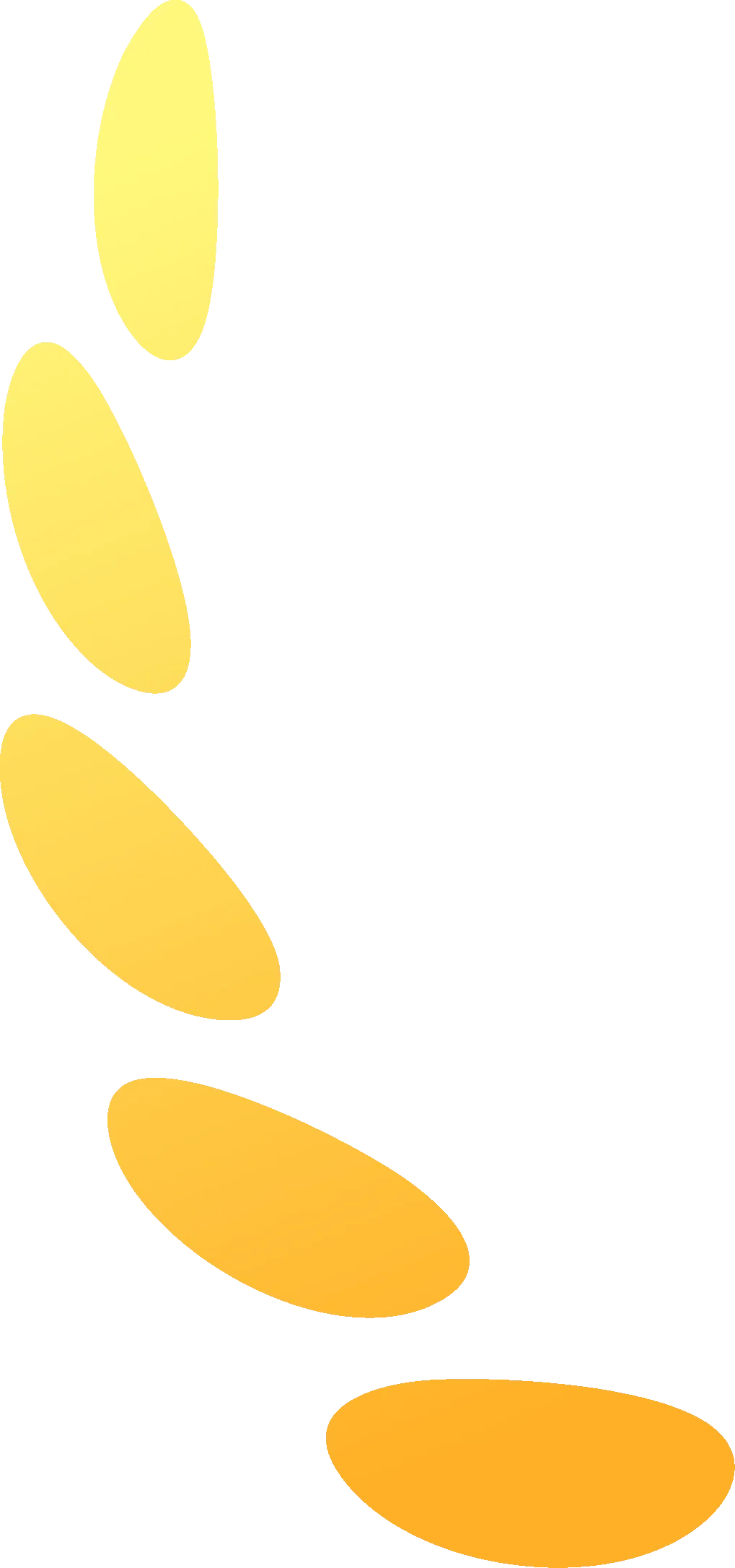 重磅官宣!德速电商物流正式升级为Amazon FIST Elite承运商!