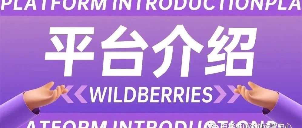 Wildberries即将进入中国市场，前期预热火爆进行中...