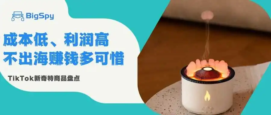 奇形扩香器日销千单！选品必看的高利润新奇小玩意儿