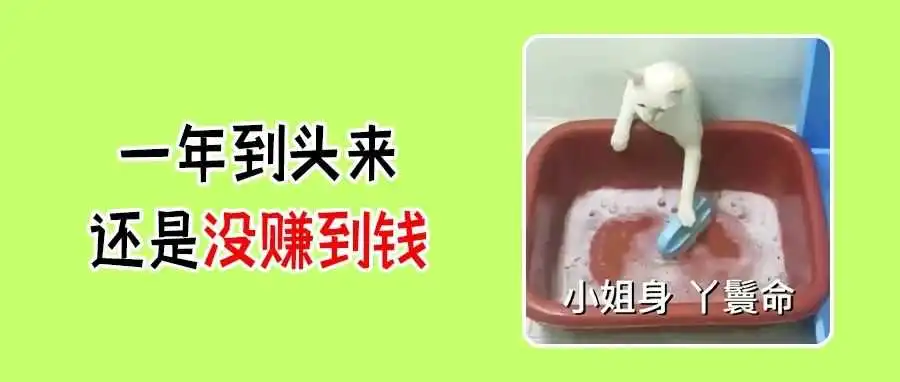 消费者信心得到提振！2023假日季在线销售同比增长4.9%！